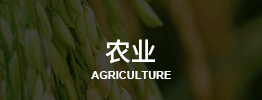 澳洲农业考察