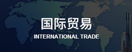 东南亚国际贸易商务考察