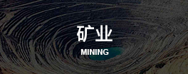 东欧矿业商务考察