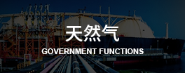 东欧天然气商务考察