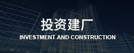 东欧投资建厂考察