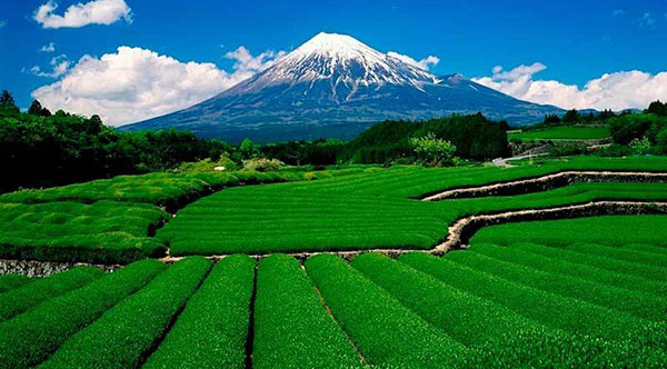日本农业考察