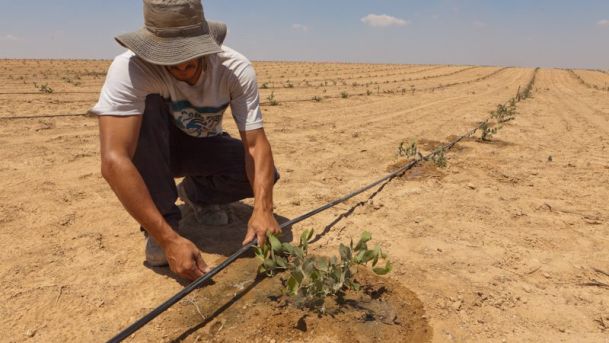以色列灌溉技术考察