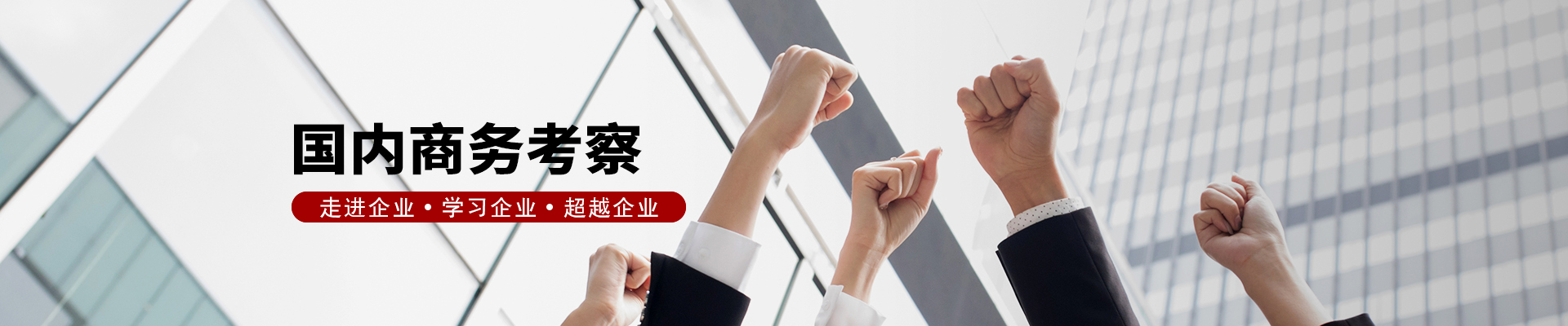 国内考察banner