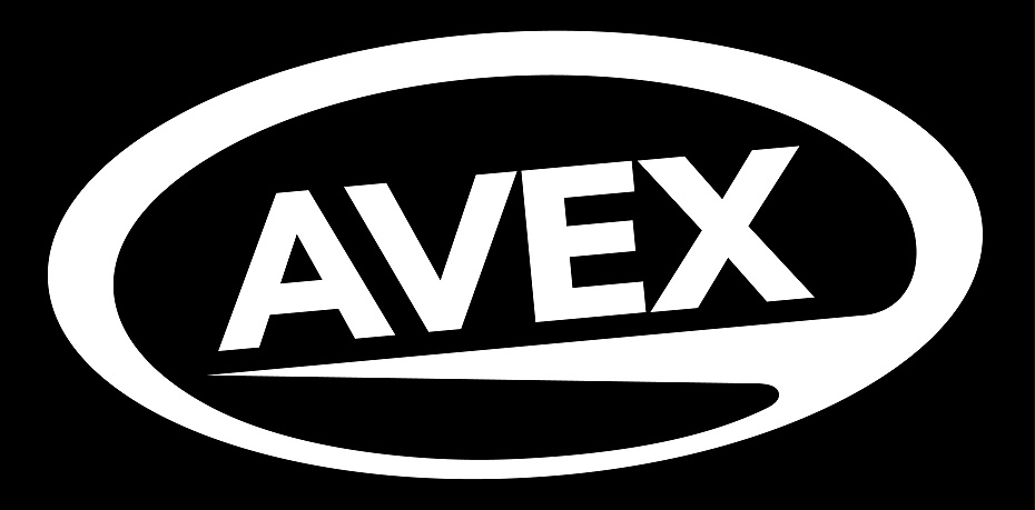 AVEX参访