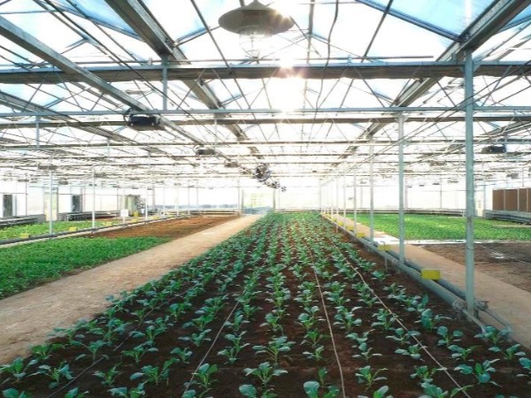 以色列农业技术考察：以色列如何创造农业奇迹？