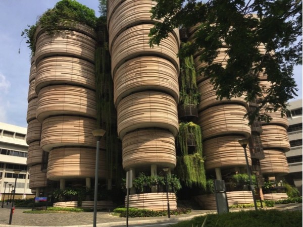 新马泰大学考察：哪些高校值得考察？