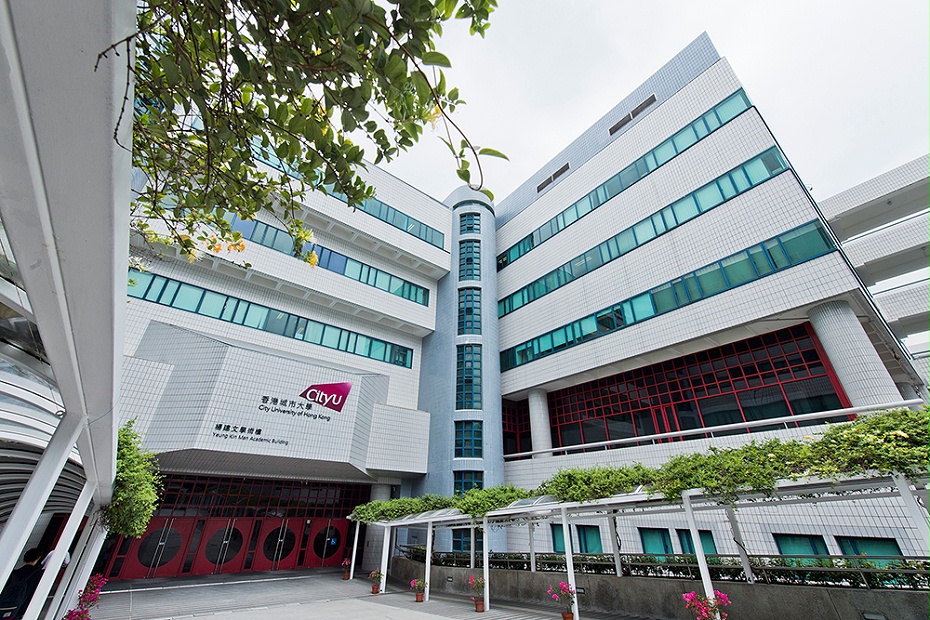 香港城市大学培训