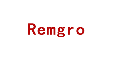 Remgro参观考察