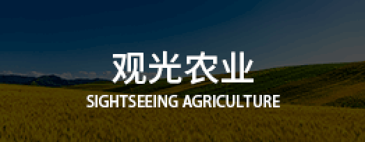 台湾观光农业考察