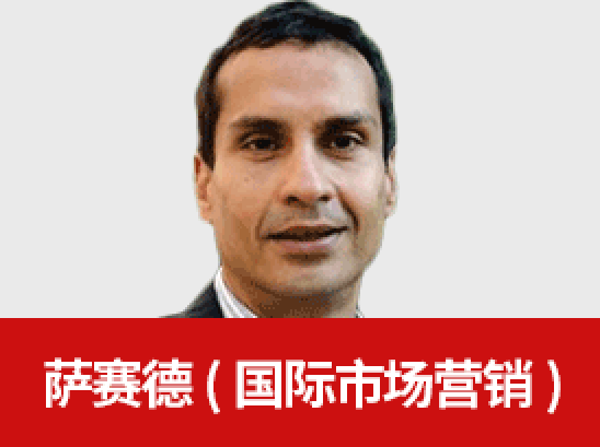 萨赛德. 安萨里(国际市场营销策略)