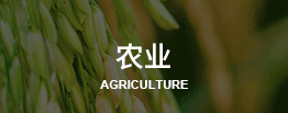 农业