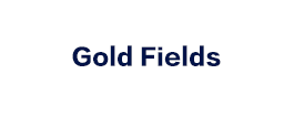 Gold Fields参观考察