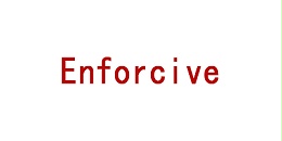 Enforcive Systems Ltd.(formerly Bsafe)