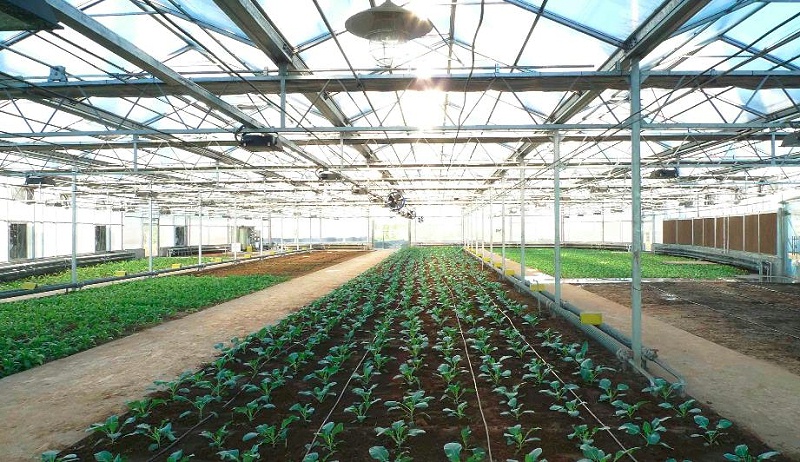 以色列农业科技创新考察