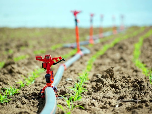 以色列灌溉技术考察